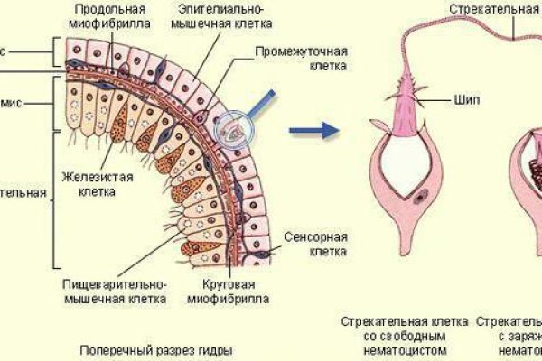 Магазин веществ кракен