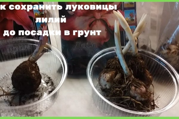 Кракен маркетплейс что продают