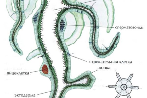 Кракен даркнет актуальная ссылка