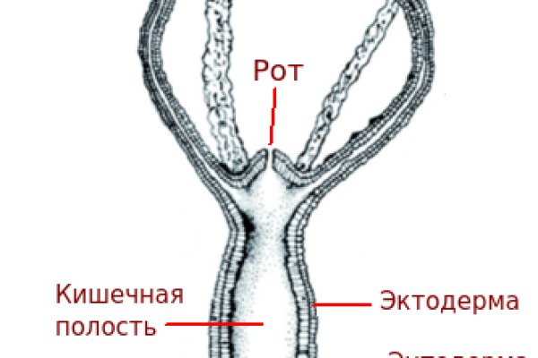 Кракен официальная ссылка kraken torion