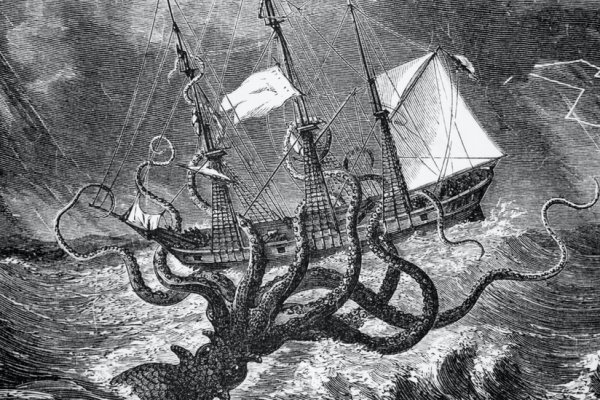 Kraken place